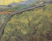 Vincent Van Gogh Field of Spring Wheat at Sunrise (nn04) oil painting on canvas